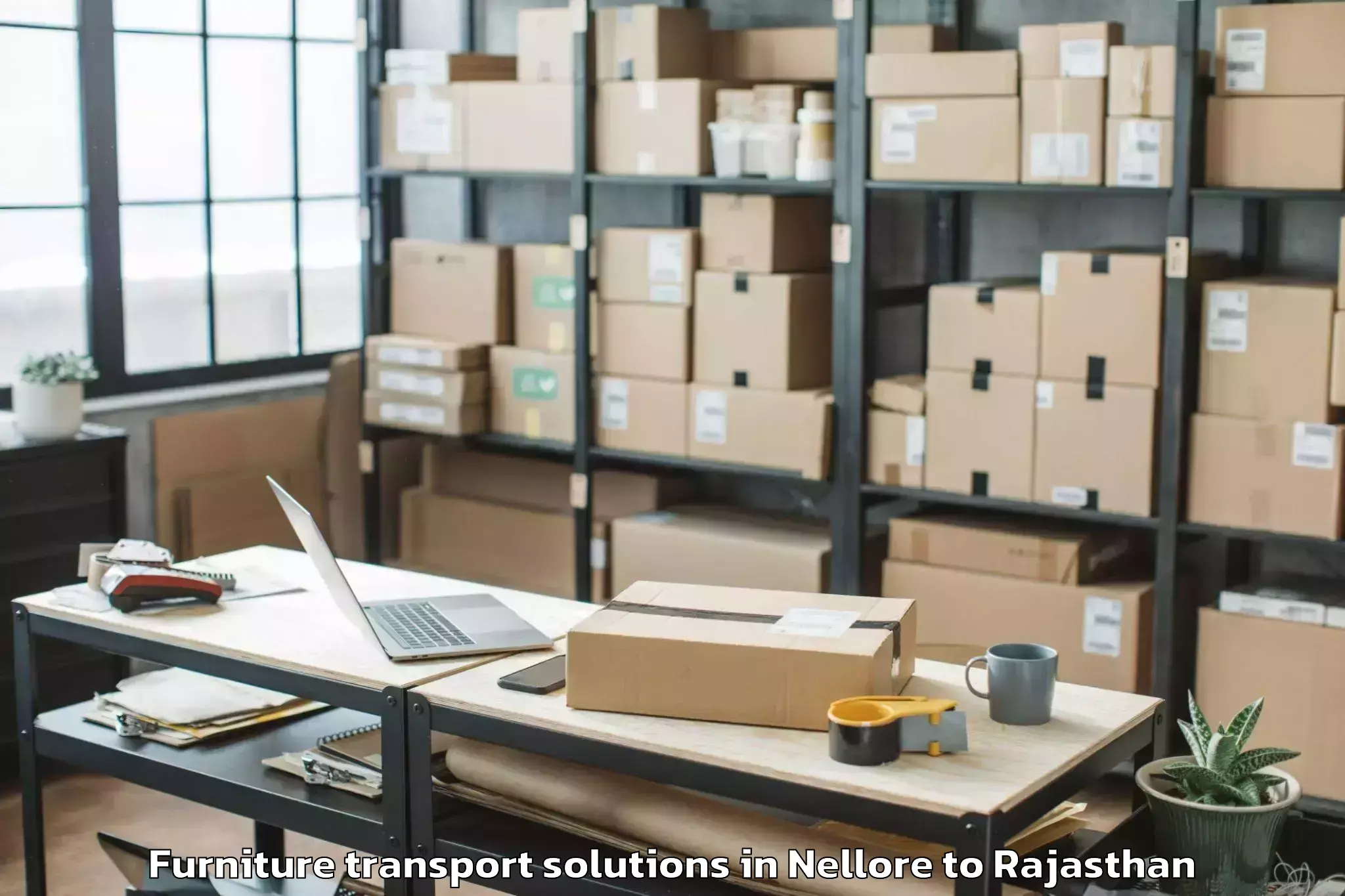 Book Nellore to Danta Ramgarh Furniture Transport Solutions Online